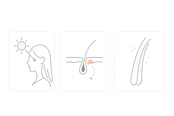 夏の紫外線が女性の髪と頭皮に与えるダメージの図解｜切れ毛・色素変化・頭皮炎症