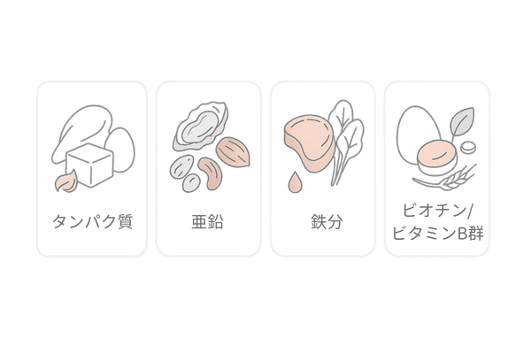 女性の薄毛対策サプリの主要成分を示す4カード図(タンパク質・亜鉛・鉄・ビオチン)