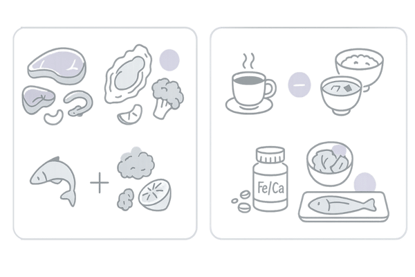 亜鉛の食事摂取ガイド|多い食材・吸収を高める組み合わせ・阻害要因のアイコン図