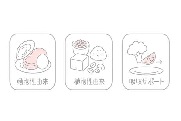 亜鉛を多く含む食品と吸収を高める組み合わせ（動物性・植物性・ビタミンC）