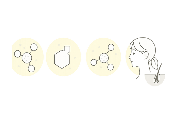 5αリダクターゼがDHTを生み女性の薄毛を招く仕組み図