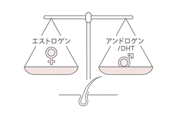 エストロゲンとDHTのバランスを示す天秤と髪の関係イラスト