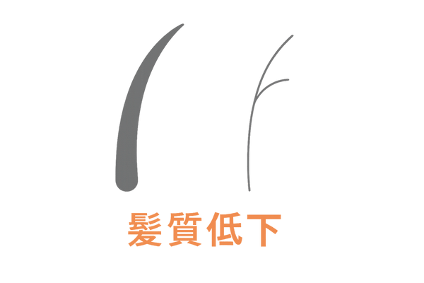 髪質変化 ハリ・コシ低下と切れ毛増加イラスト
