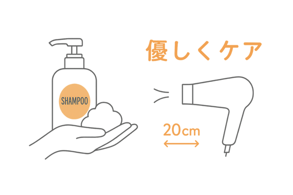低刺激シャンプーと正しいドライヤー距離の頭皮ケア図