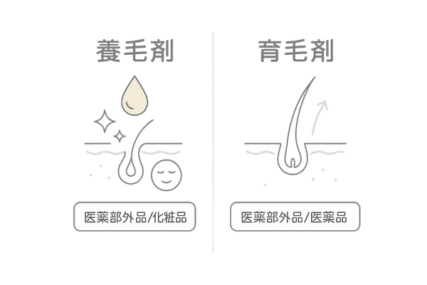 養毛剤と育毛剤の違い｜目的・分類・働きの比較（女性の薄毛対策向け図解）