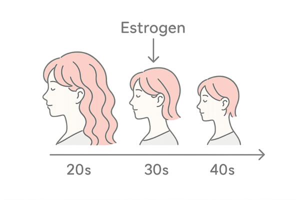 年齢とともにエストロゲンが減少し髪が細くなる様子のタイムラインイラスト
