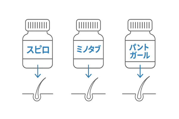 女性薄毛治療内服薬―スピロノラクトン・ミノタブ・パントガール図