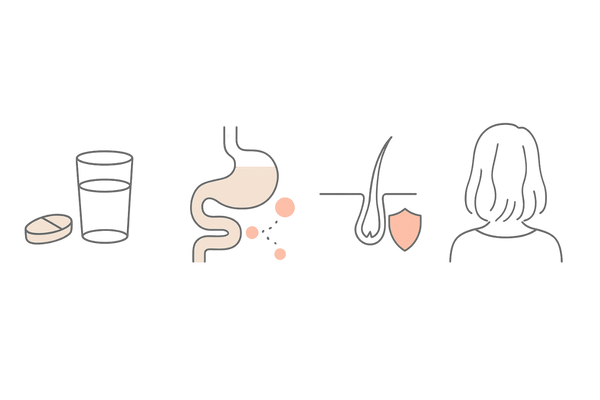 女性の薄毛治療｜内服薬の作用を図解（全身から抜け毛を抑える）