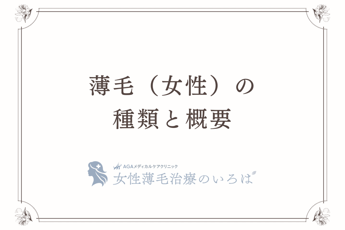 薄毛（女性）の種類と概要