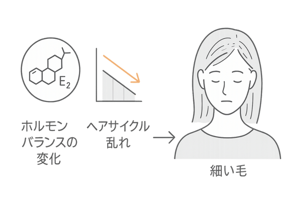 エストロゲン減少とFAGAの関連図