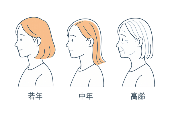 加齢による髪のボリューム変化