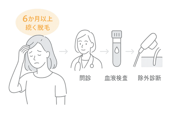 慢性休止期脱毛症の診断フロー