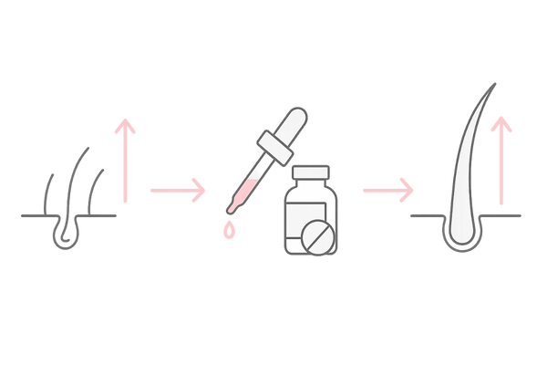 発毛促進薬の仕組み図｜女性の薄毛治療でヘアサイクルを整え成長期を延長する流れ