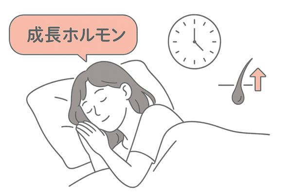 深い睡眠と成長ホルモン分泌を示す図