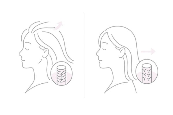 女性の髪のコシとは?髪の構造(キューティクル・コルテックス)とボリュームの図解