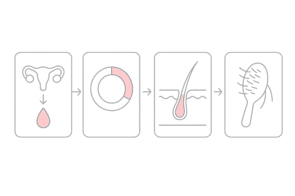 更年期でエストロゲンが低下し毛髪サイクルが乱れる流れ（女性の薄毛メカニズム図）