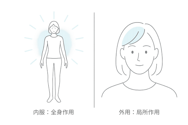 ミノキシジルタブレットと外用薬の作用範囲比較｜女性の薄毛治療における違いを可視化