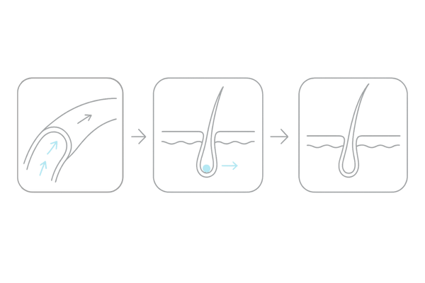 ミノタブの作用機序：血管拡張→血流増加→毛母細胞活性→成長期延長（3ステップ）