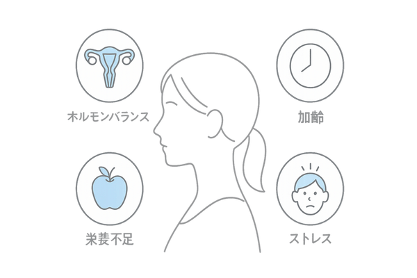 女性薄毛の主な原因アイコンマップ