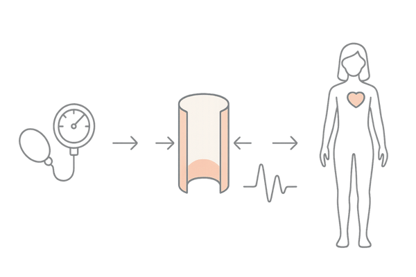 ミノキシジル内服が「危険と言われる理由」血管拡張と血圧低下のメカニズム図