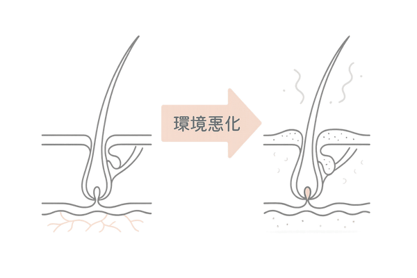 頭皮環境正常と乱れ比較図
