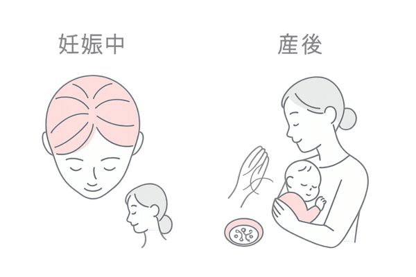 妊娠中と産後の抜け毛の違い|妊娠期はボリューム増・産後は一時的脱毛の比較イメージ