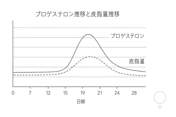 月経周期と皮脂分泌量の相関を示すシンプルな折れ線グラフ