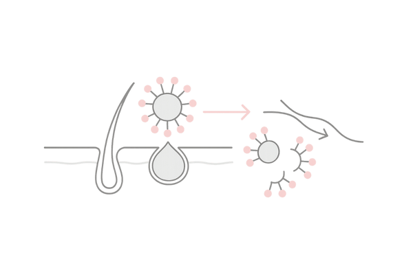 界面活性剤のミセル作用と皮脂除去の仕組み（女性の頭皮・髪の図解）