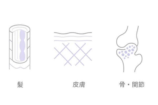 シリカが髪・皮膚・骨に果たす役割イメージ（ケラチン・コラーゲン・骨密度の関与）