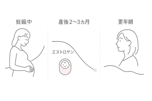 女性ホルモンと抜け毛｜妊娠・産後・更年期で変わるエストロゲンと髪の傾向