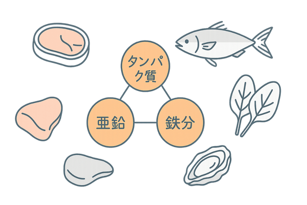 橋本病患者向け髪に良い栄養素フードガイドイラスト