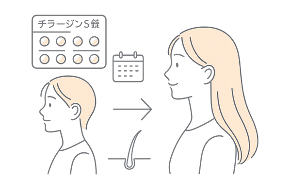 ホルモン補充療法でヘアサイクルが回復するイラスト