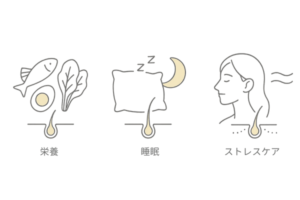 発毛効果を高める生活習慣の三本柱|栄養・睡眠・ストレスケア