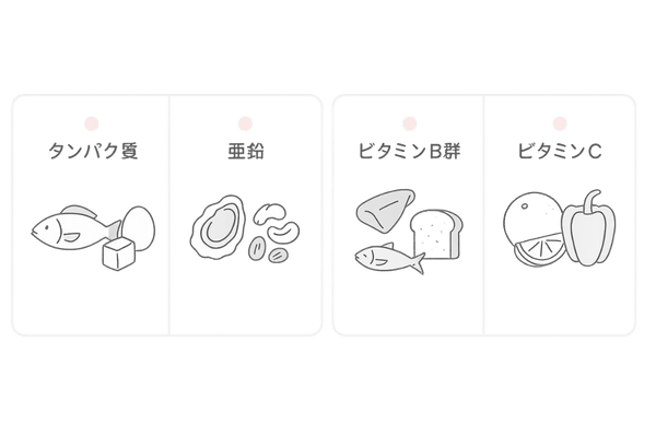 薄毛対策に役立つ栄養素4つ(タンパク質・亜鉛・ビタミンB群・ビタミンC)図解
