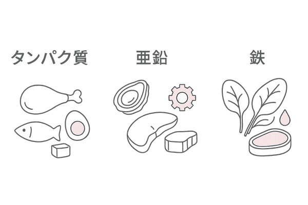 髪の成長を支える栄養素と食品例｜タンパク質・亜鉛・鉄