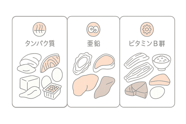 女性の育毛に必要な三大栄養素(タンパク質・亜鉛・ビタミンB群)の図解