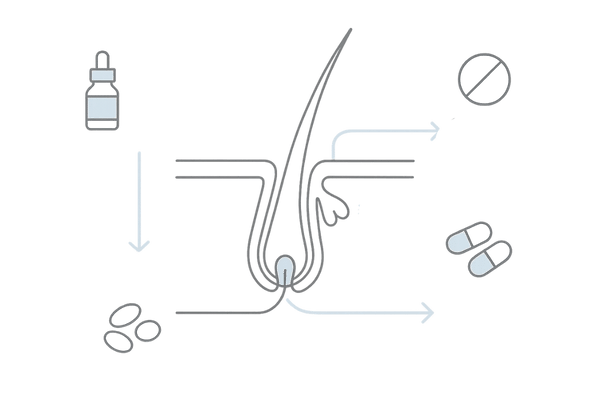女性向け育毛成分の作用マップ|ミノキシジル・スピロノラクトン・パントガール
