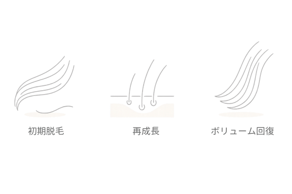 ミノキシジル治療の経過｜初期脱毛から発毛実感までの流れ（女性のヘアサイクルイメージ）