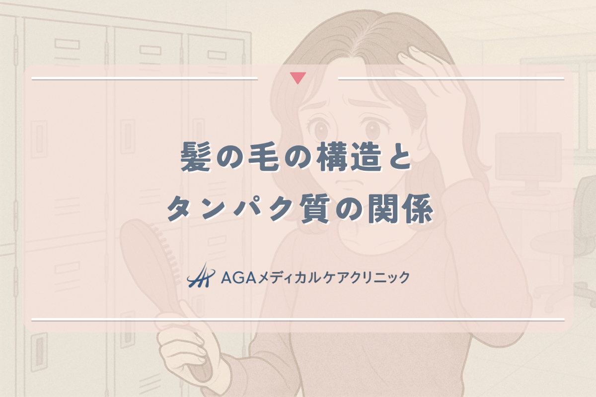 髪の毛の構造とタンパク質の関係｜女性が知っておくべき薄毛予防の基礎知識