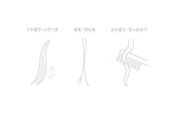 キューティクル損傷がもたらすサイン(ツヤ低下・枝毛・絡まり)