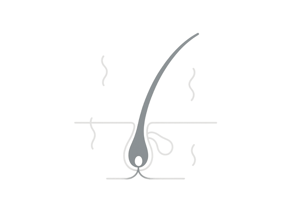 生理前の皮脂増加と毛穴詰まりを示す頭皮断面イラスト(べたつき・ニオイの原因とボリューム低下)