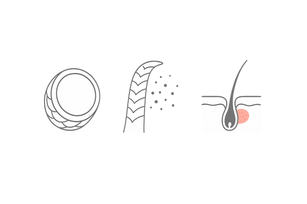 ヘアカラーが与える頭皮炎症とキューティクル損傷のイメージ（女性の薄毛リスク）