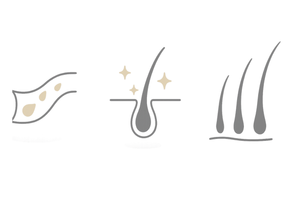 ミノキシジルの作用機序|血流改善と毛周期の正常化(女性の薄毛・FAGA)