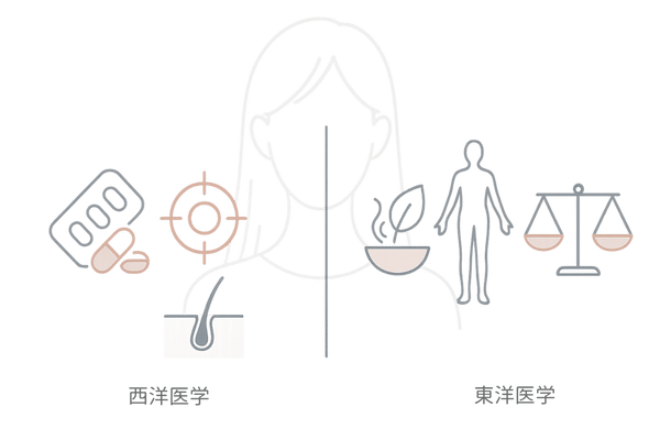 女性の薄毛に対する西洋医学と漢方の違い（比較図）