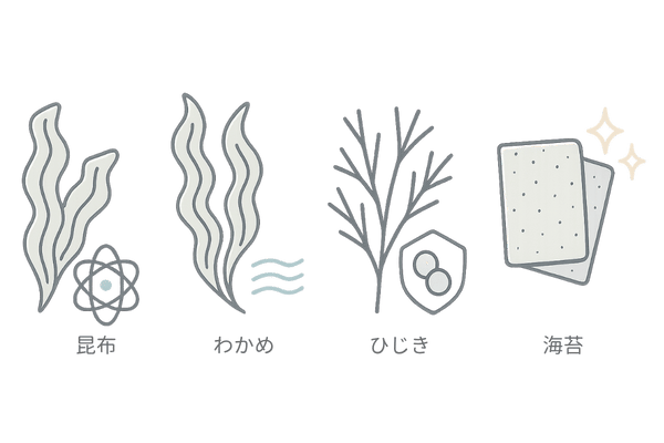 昆布・わかめ・ひじき・海苔の特徴と栄養の違いを表したイメージ