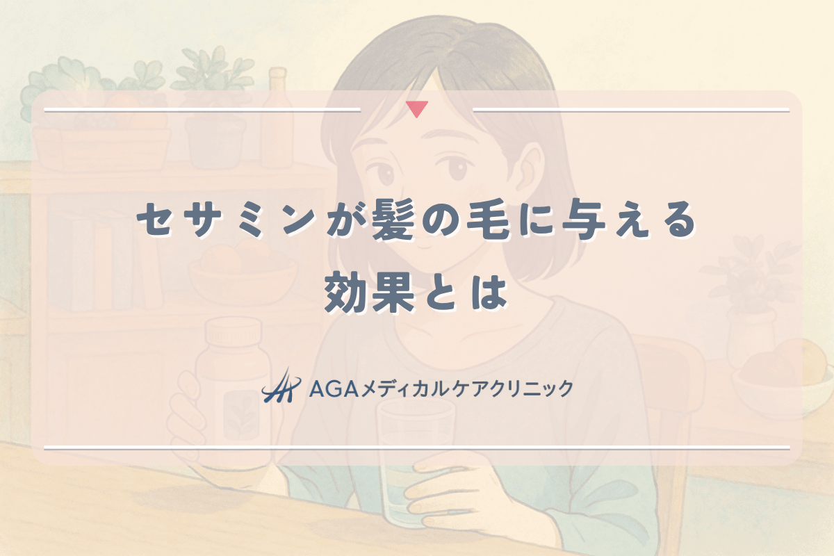 セサミンが髪の毛に与える効果とは｜女性の薄毛予防に役立つ摂取方法