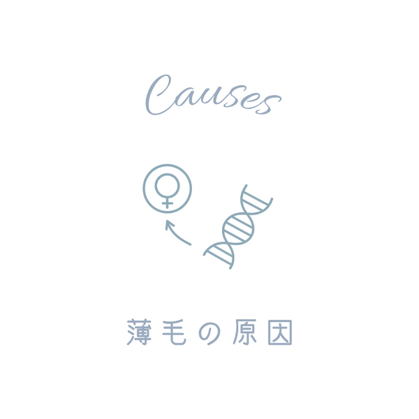 薄毛の原因