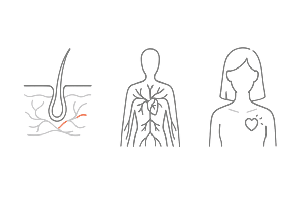 ミノキシジルの血管拡張と心臓負担の仕組み（女性薄毛治療の基礎・心臓への影響）