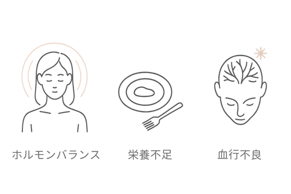 女性の薄毛の主な原因をアイコンで可視化（ホルモンバランス・栄養不足・血行不良）｜女性向け育毛サプリメントの基礎
