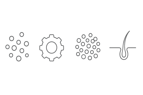 DHTによる男性型脱毛症のメカニズム｜テストステロン・5αリダクターゼ・毛包縮小の流れ